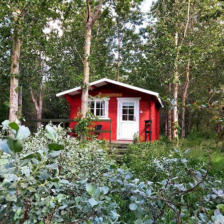 Bakkakot 3 Cozy Cabin In The Woods 阿克雷里 外观 照片