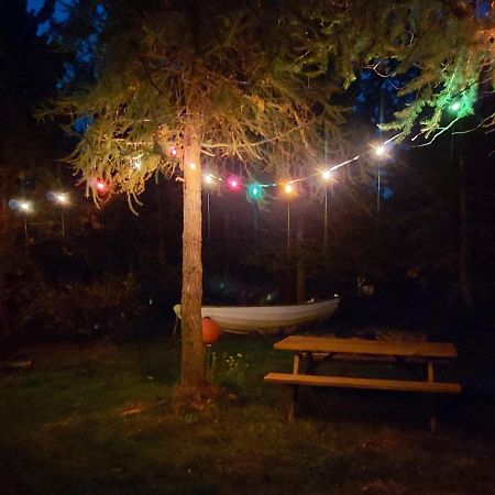 Bakkakot 3 Cozy Cabin In The Woods 阿克雷里 外观 照片