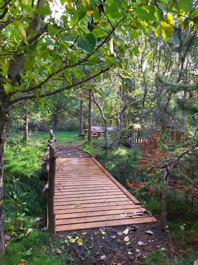Bakkakot 3 Cozy Cabin In The Woods 阿克雷里 外观 照片