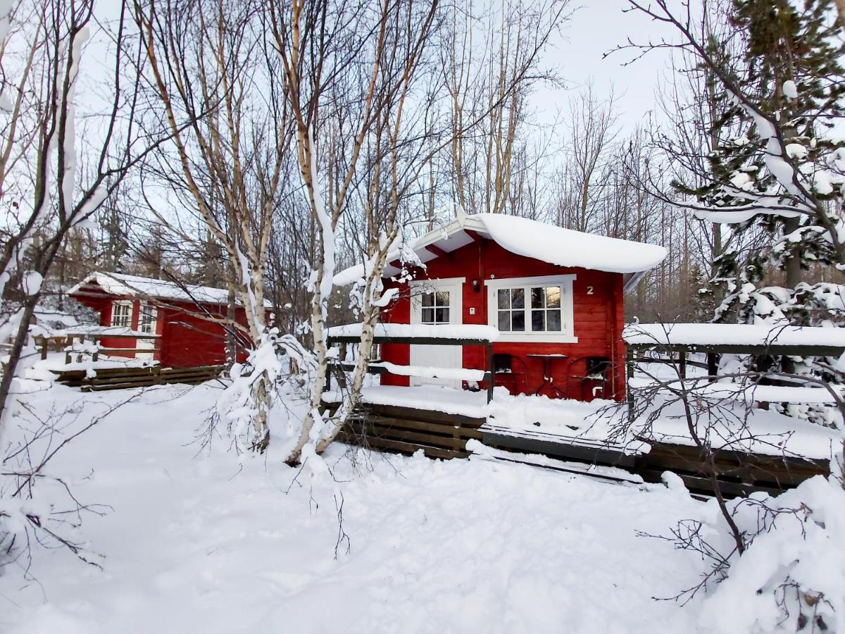 Bakkakot 3 Cozy Cabin In The Woods 阿克雷里 外观 照片