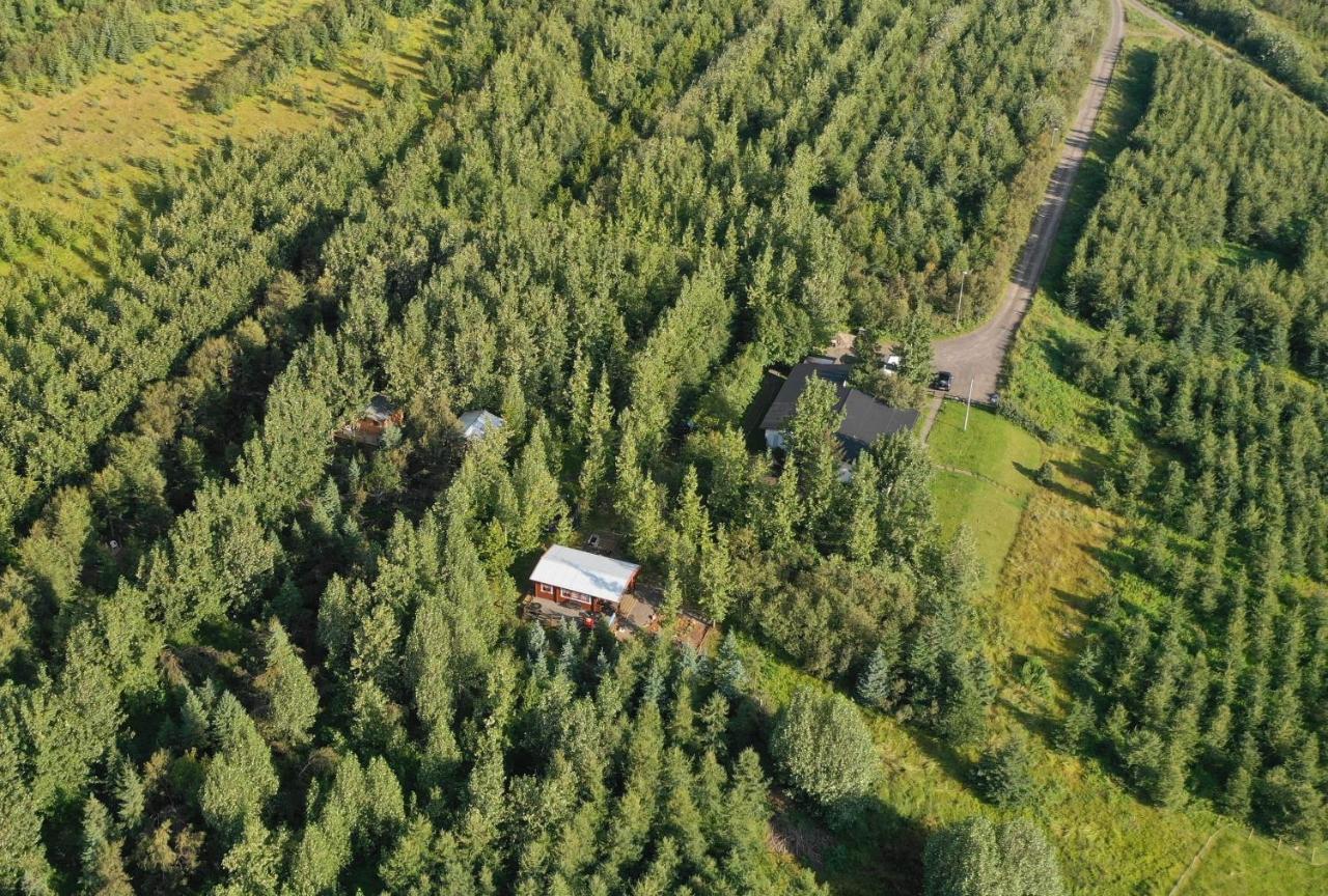 Bakkakot 3 Cozy Cabin In The Woods 阿克雷里 外观 照片