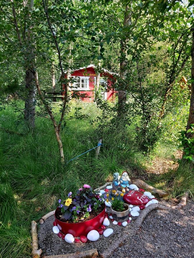 Bakkakot 3 Cozy Cabin In The Woods 阿克雷里 外观 照片