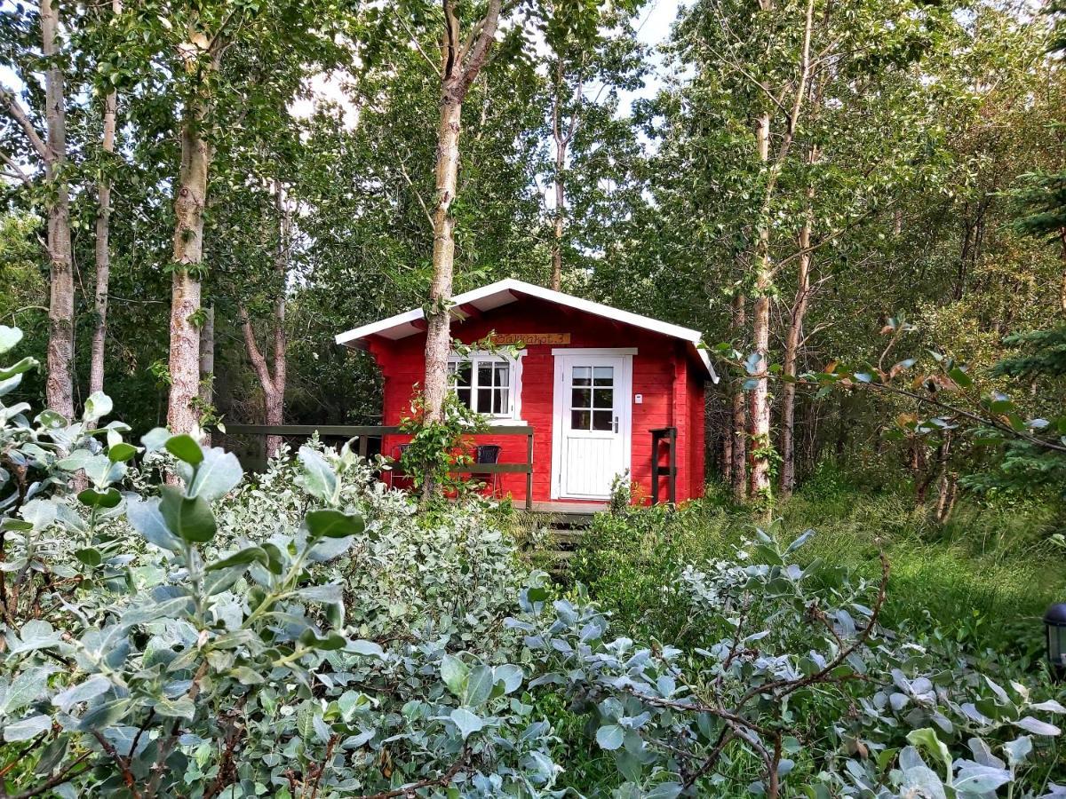 Bakkakot 3 Cozy Cabin In The Woods 阿克雷里 外观 照片